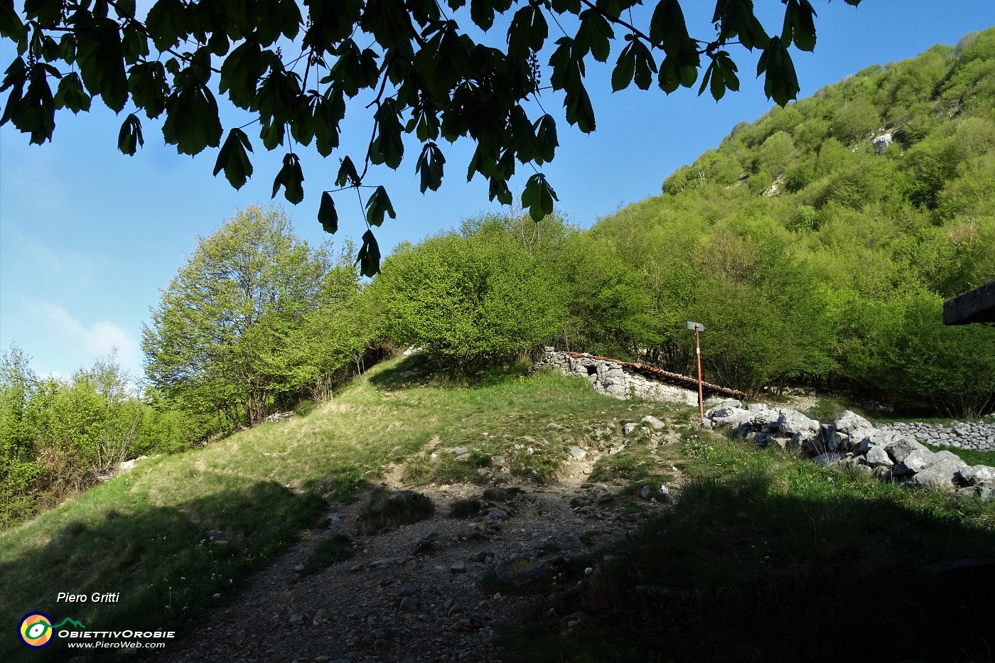 15 In salita sentiero 571 a dx, in discesa rientro dalla variante di sx .JPG